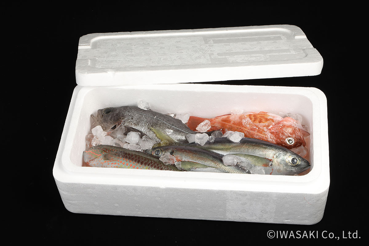 親戚のおっちゃんに魚もろた。