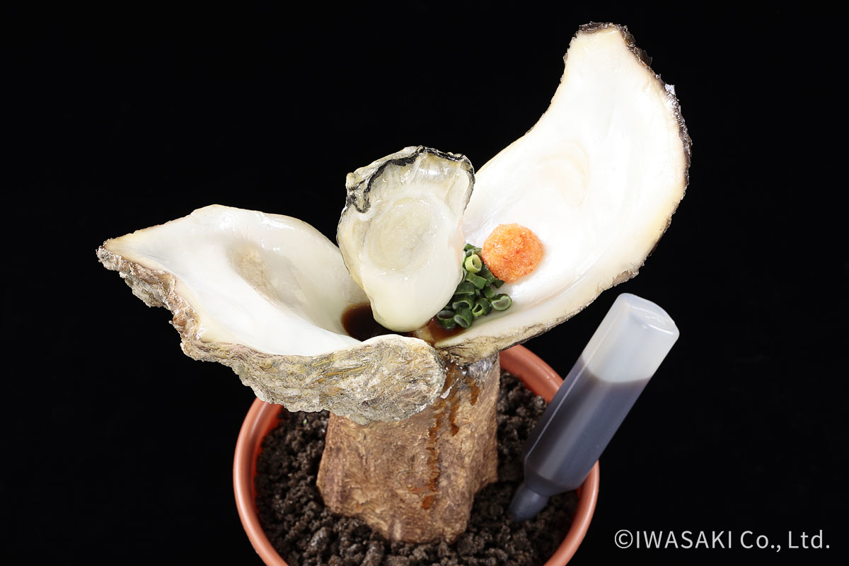 ぽん酢で育つ！？夏が旬の岩ガ木