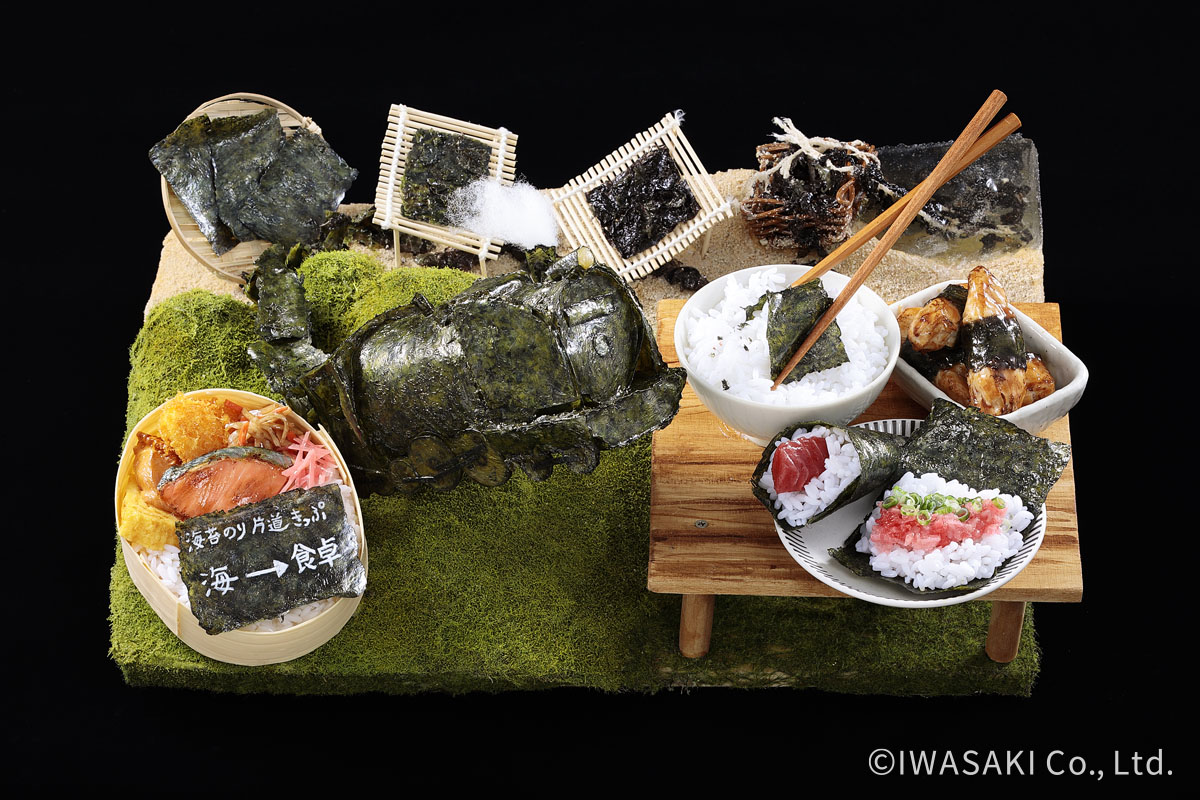 海からのお届け物（のり遅れないで〜！）