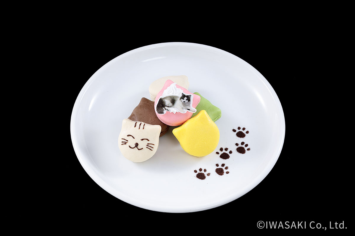 猫好きによるマカロン