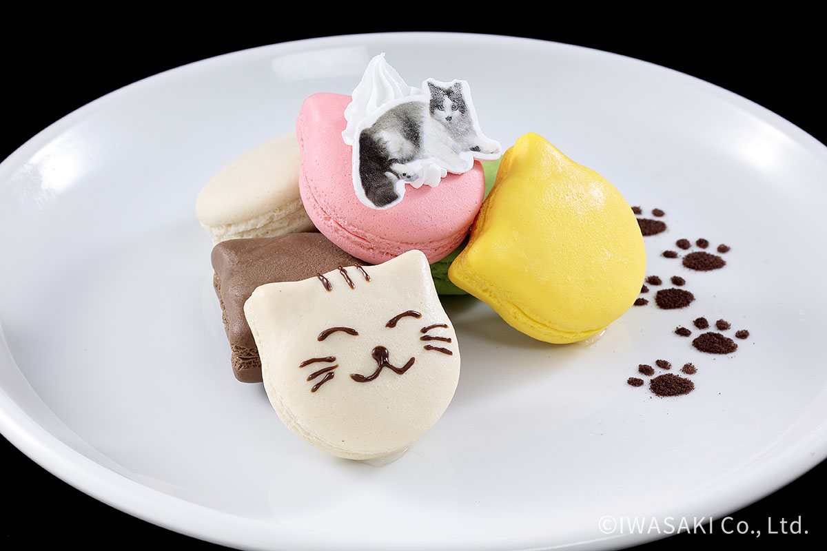 猫好きによるマカロン